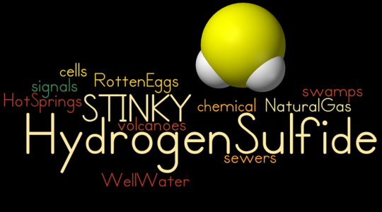 硫化氫氣體 硫化氫氣體