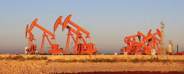 遼河油田:開展量化審核 不斷優(yōu)化HSE管理體系 遼河油田:開展量化審核 不斷優(yōu)化HSE管理體系