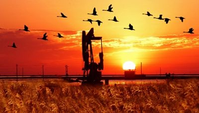 勝利油田啟動(dòng)井控及石油工程HSE大檢查 勝利油田啟動(dòng)井控及石油工程HSE大檢查