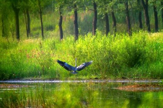 環(huán)境影響評價在HSE管理體系中的應用