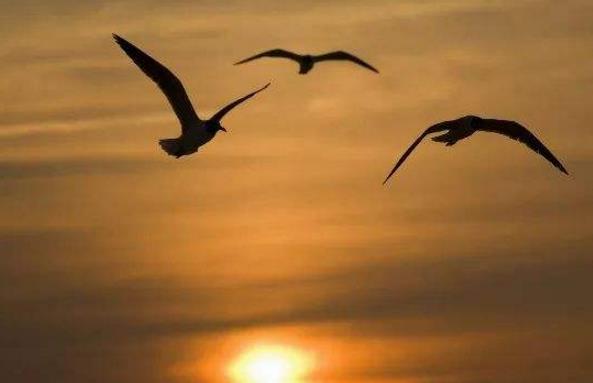 如何利用心理學做好HSE管理 如何利用心理學做好HSE管理